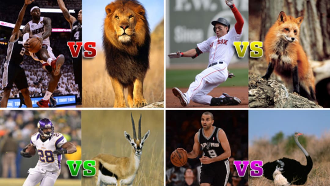 After "Man vs. Cheetah," Four More (Imaginary) Athlete-Animal Races