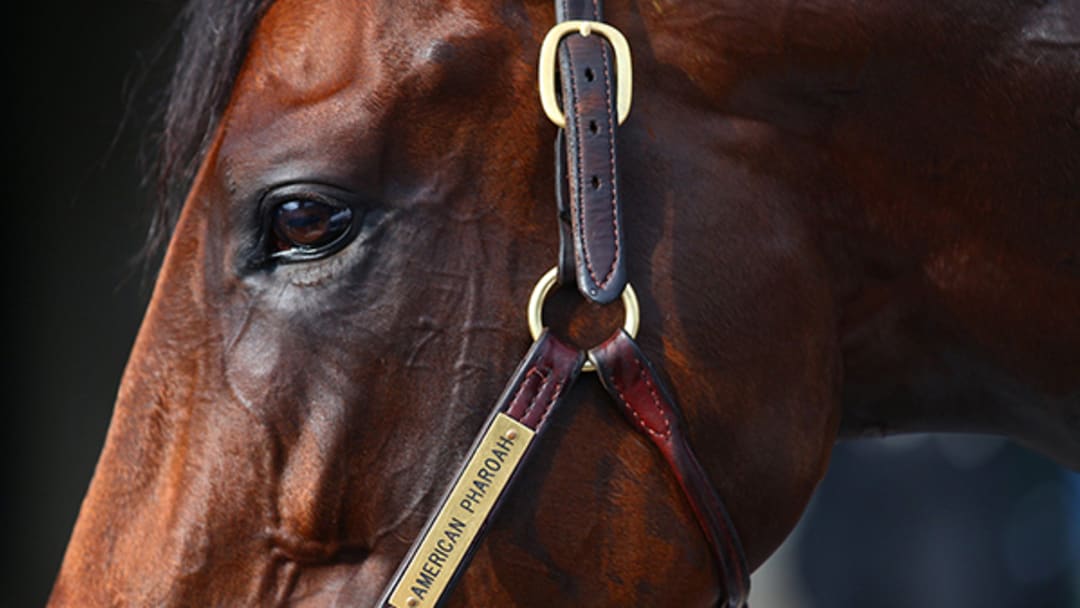 American Pharoah: Triple Threat