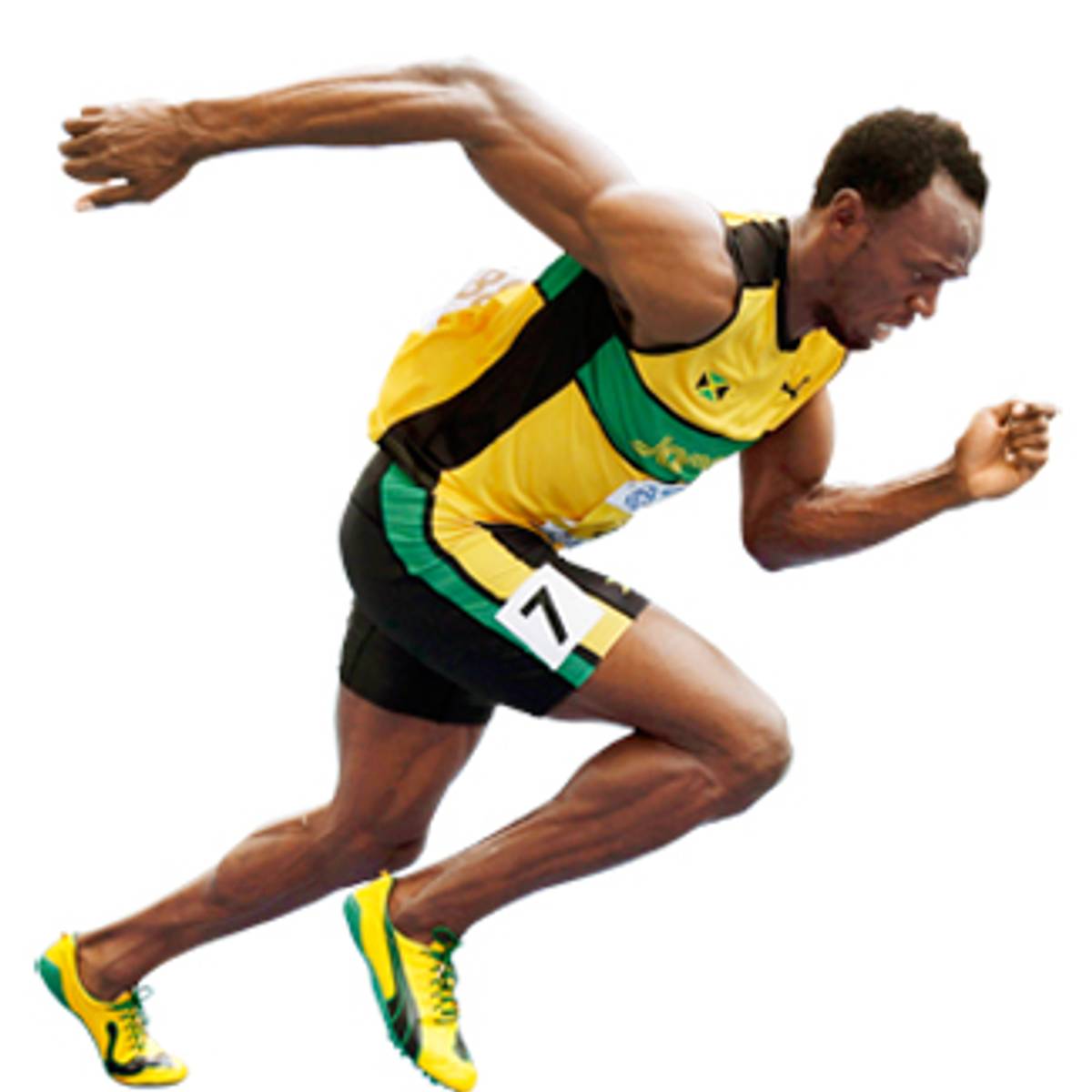 Anaerobic Respiration in Sports Science