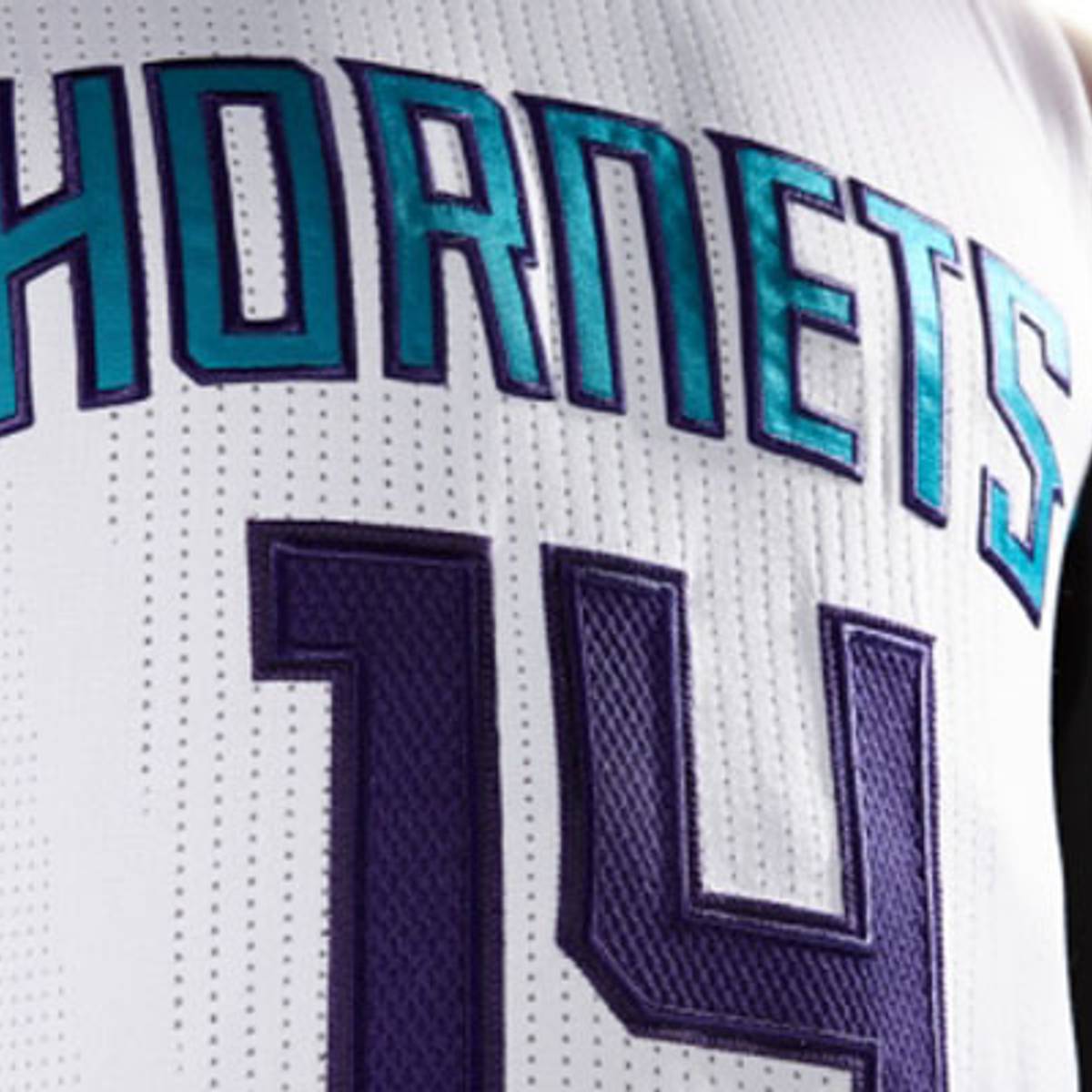 Charlotte Hornets Unveil New Jerseys - SI Kids: Sports News for
