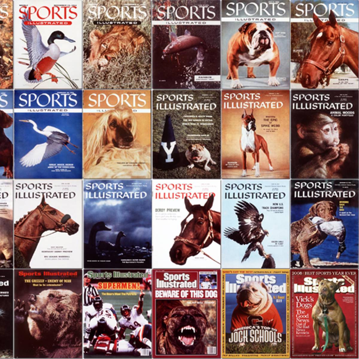 Animals and Sports - SI Kids: Sports News for Kids, Kids Games and