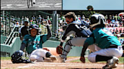 Your Summer Sports Viewing Guide