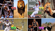 After "Man vs. Cheetah," Four More (Imaginary) Athlete-Animal Races
