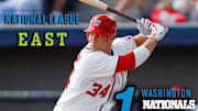 MLB Preview 2014: NL East Scouting Report