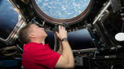 New IMAX Film Showcases Our Beautiful Planet