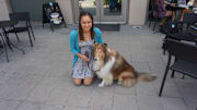 Texas A&M's Mascot, Reveille, Lives the Good Life