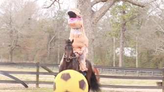 Thursday Afterschool Special: T-Rex Horse Soccer