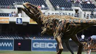 Dinosaur First Pitch? Dinosaur First Pitch!