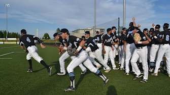 Wood Bats Bring Summer to the Upper Midwest
