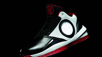The Air Jordan 2010