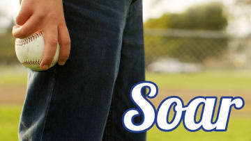 Baseball Soars in a New Novel by Joan Bauer