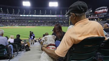 Wednesday Afterschool Special: Dog Days of Summer