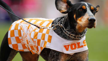 Friday Afterschool Special: Rocky Top Rocky Start