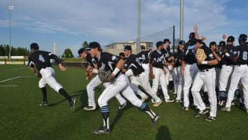 Wood Bats Bring Summer to the Upper Midwest