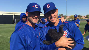 Friday Afterschool Special: Cubs w/ Cubs