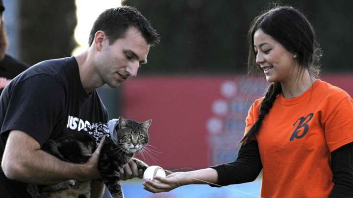 Hero Cat Can Has First Pitch Hero Cat Can Has First Pitch