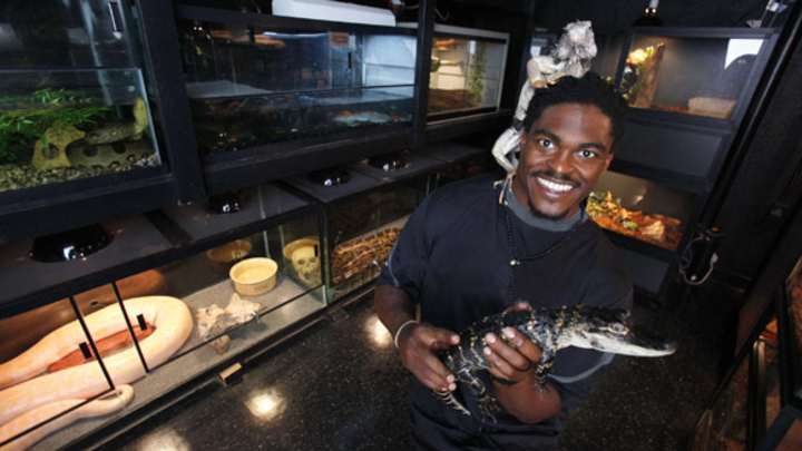 Athletes and Their Pets Athletes and Their Pets
