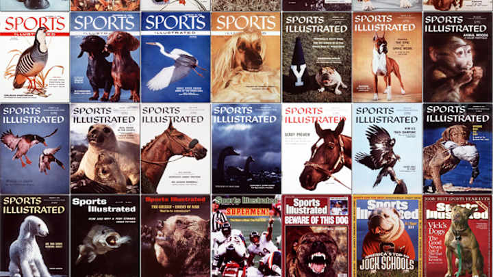 Sports Illustrated Covers That Feature Only Animals Sports Illustrated Covers That Feature Only Animals