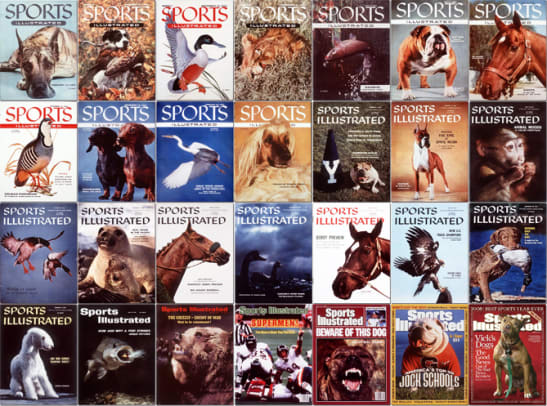 Sports Illustrated Covers That Feature Only Animals - 1 - Animals On the Cover of Sports Illustrated