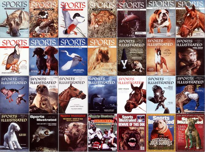 Animals and Sports - SI Kids: Sports News for Kids, Kids Games and