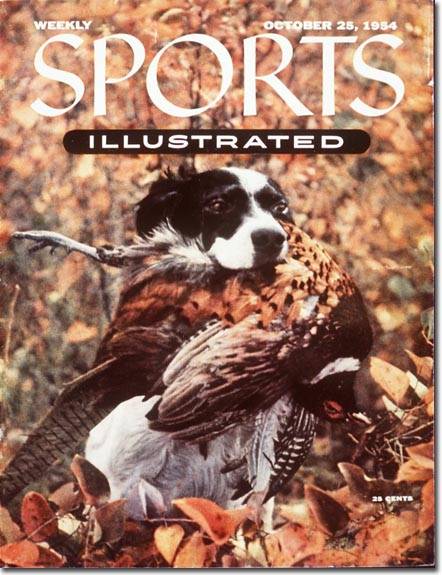 Animals and Sports - SI Kids: Sports News for Kids, Kids Games and