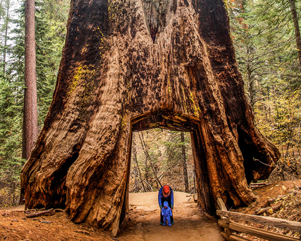 national-parks-yosemite_0.jpg