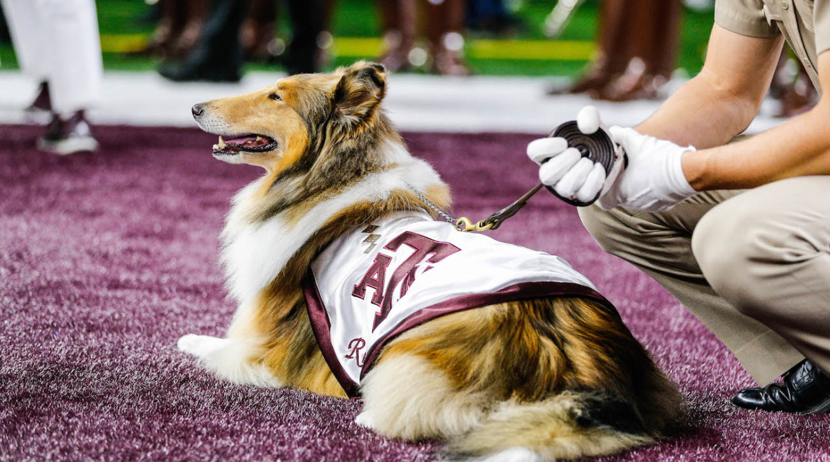 aggie dog jersey