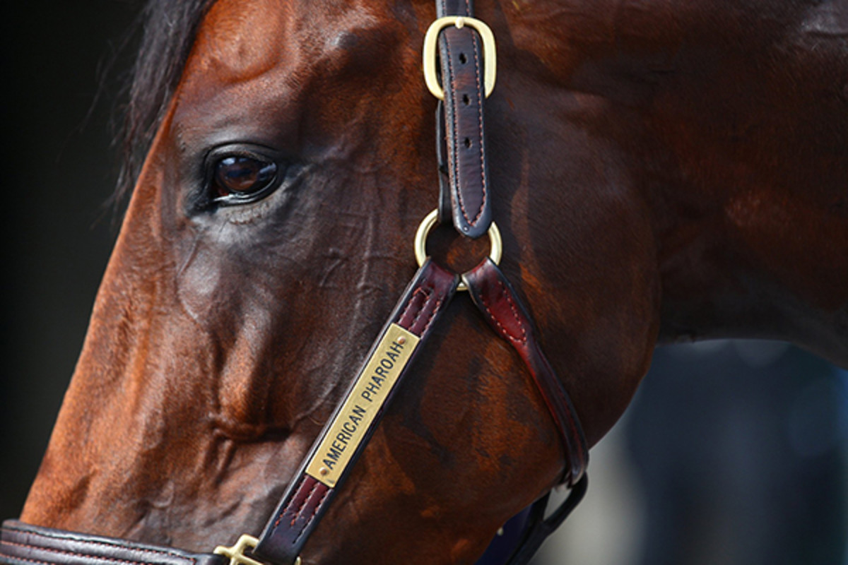 american pharoah