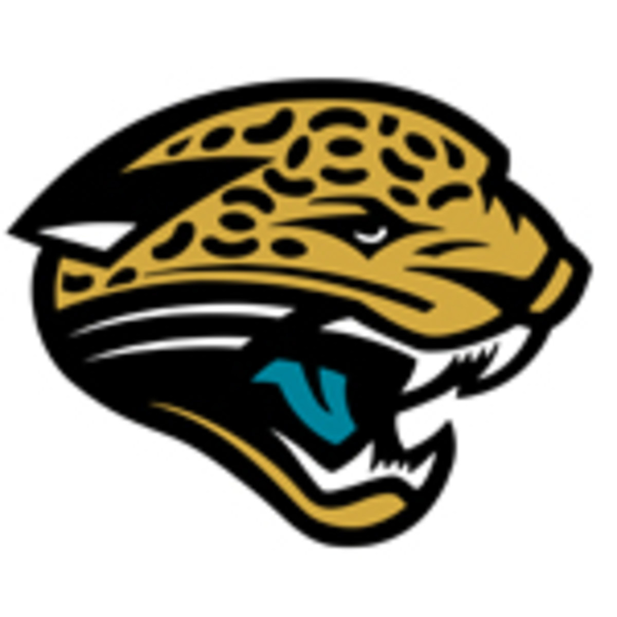 jacksonville jaguars