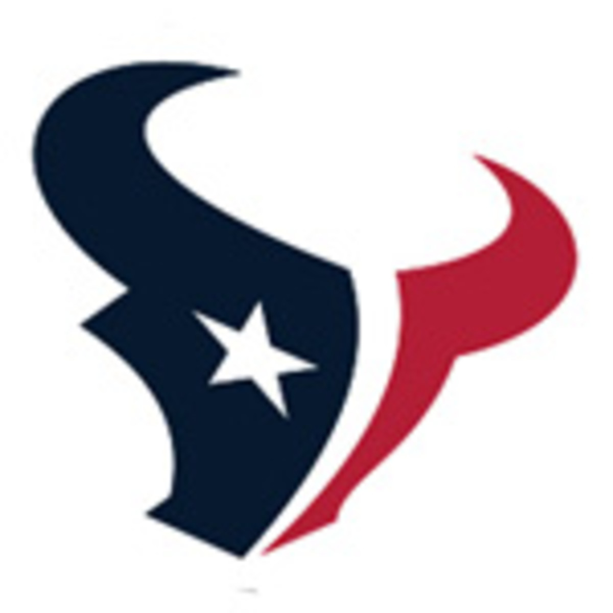 houston texans