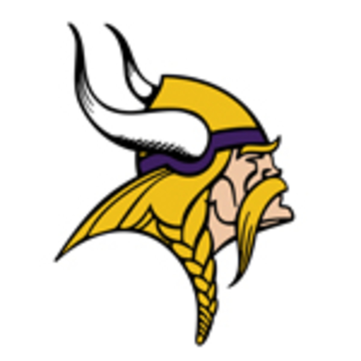 minneosta vikings