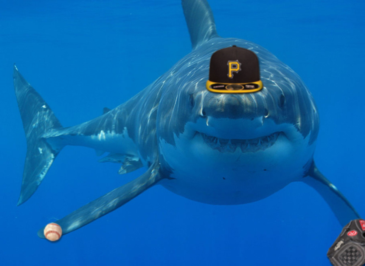 great white shark baseball