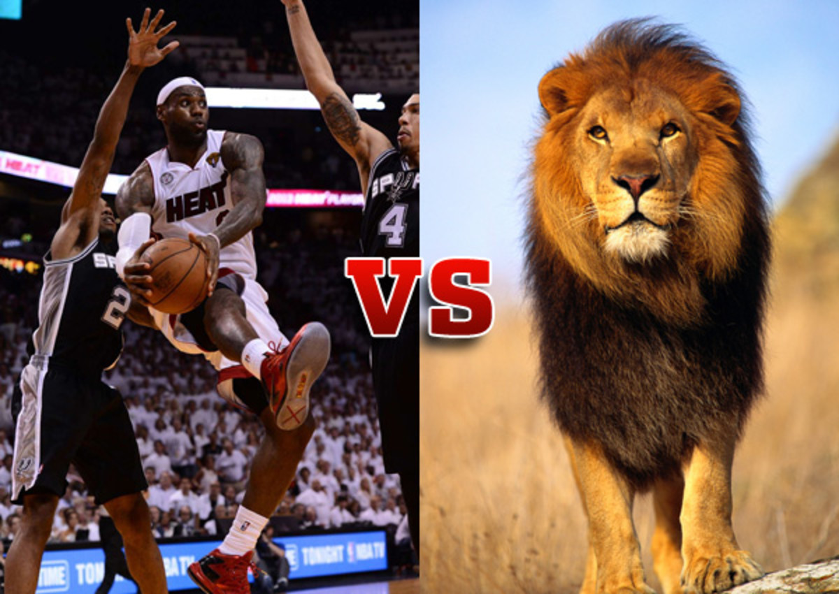 lebron james vs a lion