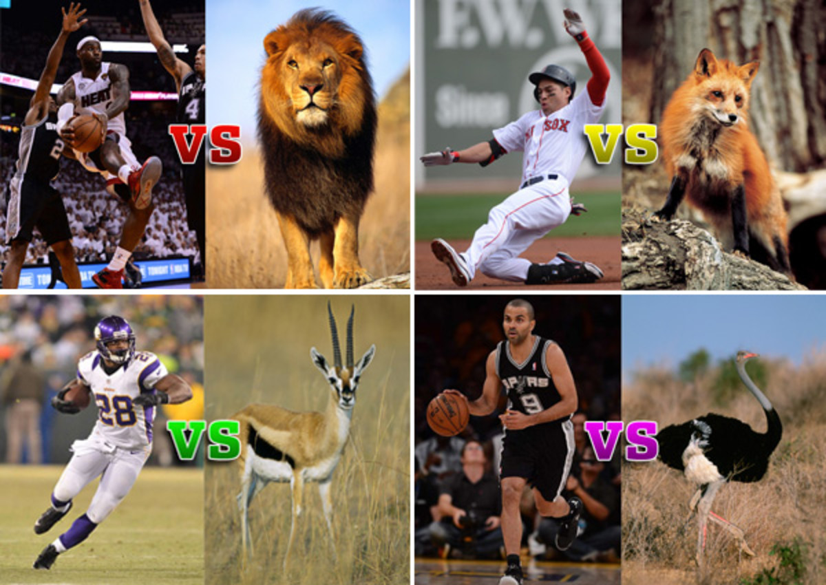 athletes vs animals