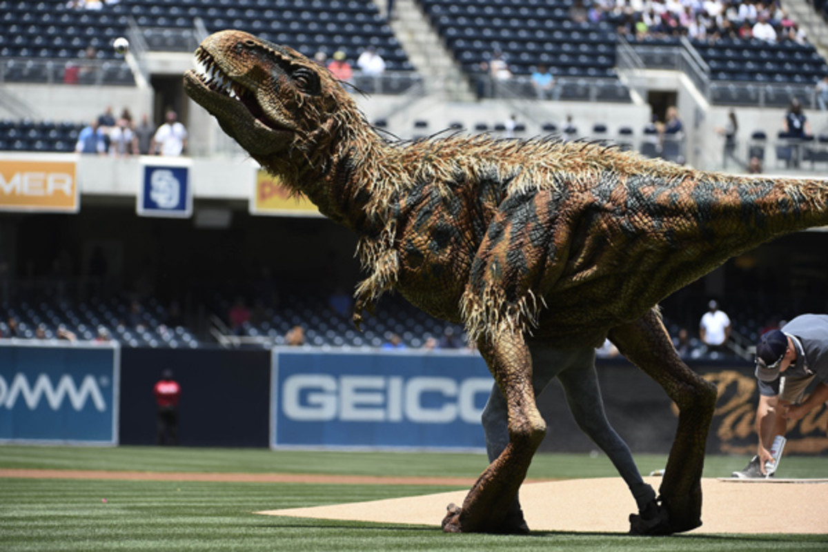 dinosaur first pitch padres