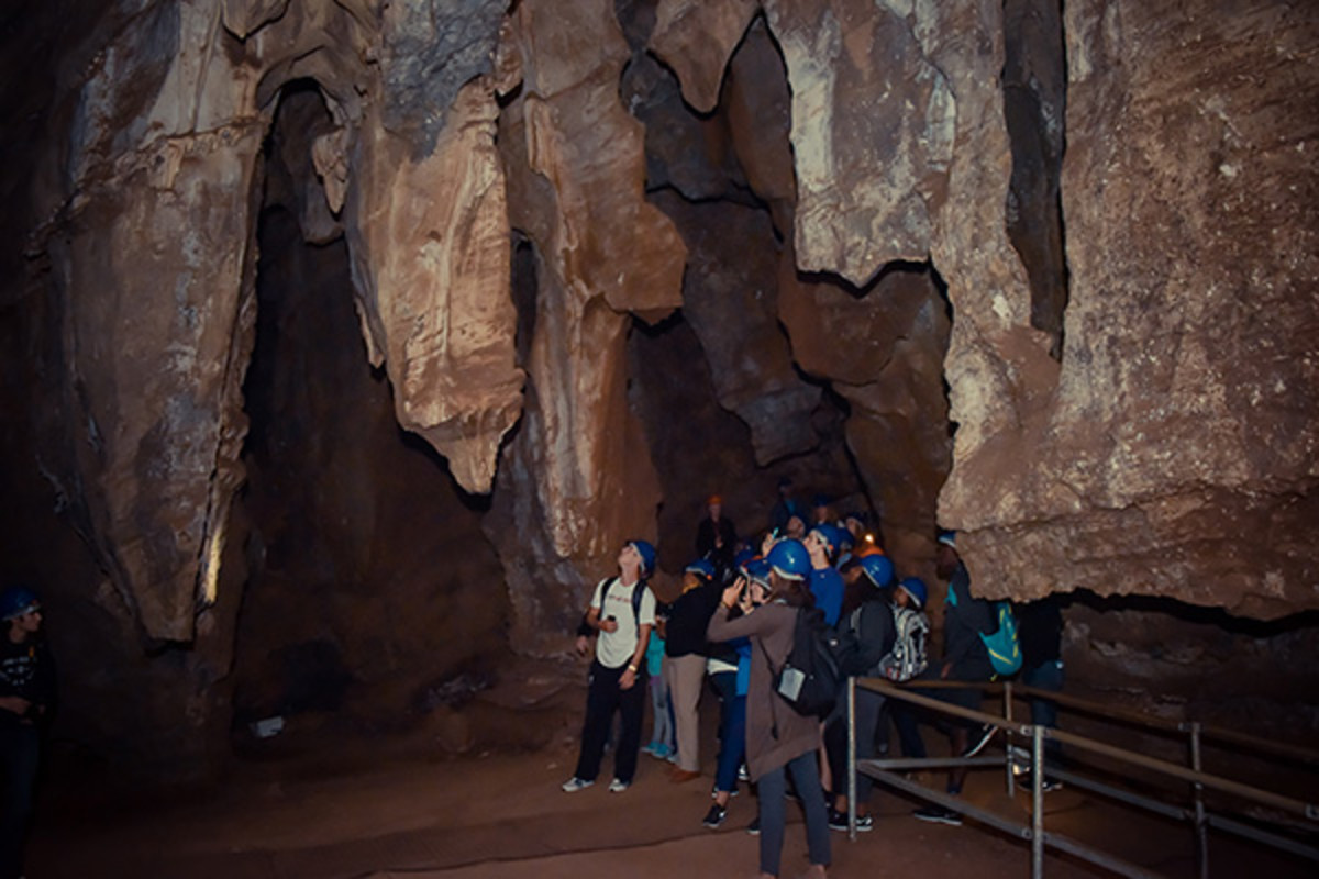 nbpa south africa cradle of humankind